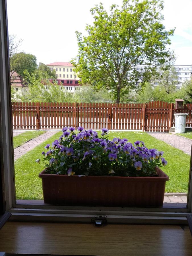 杜赫派兹酒店 Český Krumlov 外观 照片
